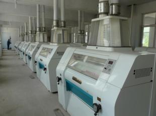 内蒙面粉机试机成功